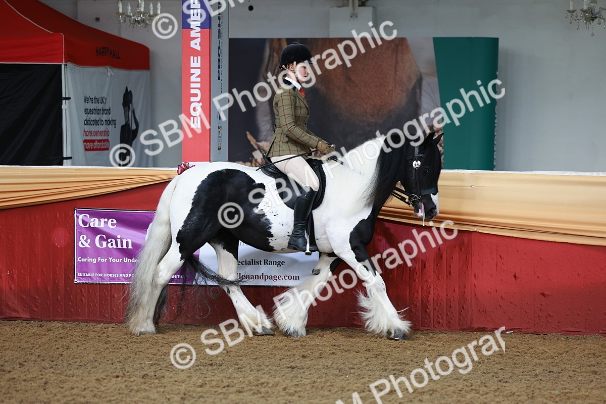 SBM_11811 - Class 102 - Equitation (Best Rider) Adult