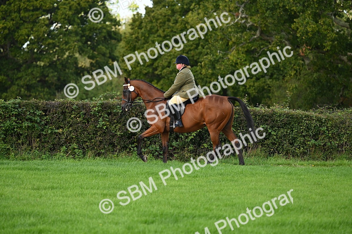 SBM_01558 - S2 - TSR Ridden Horse Showing