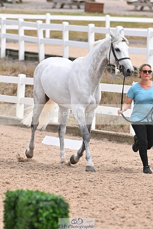 250716-142225-01046 - Trot Up 1.30 to 2.30