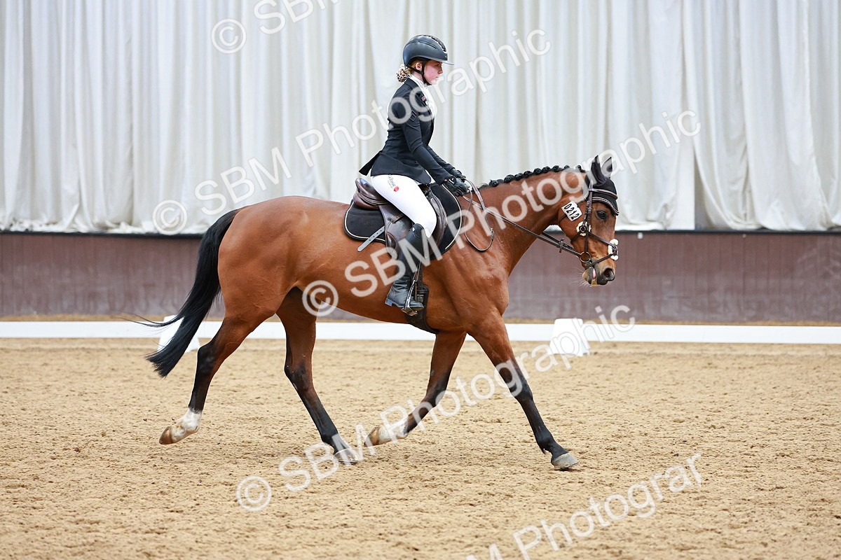 SBM_003329 - Class 11 - Novice 2