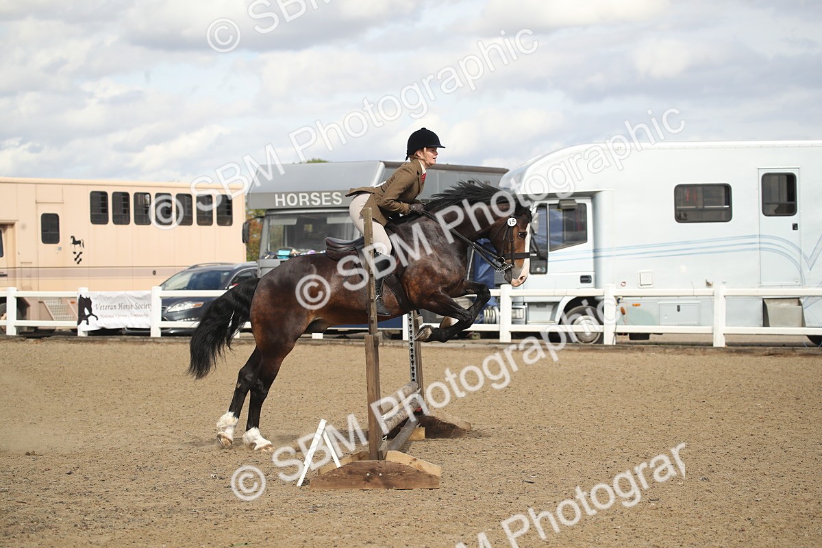 SBM_14511 - Class 505a - M&M Working Veteran - 50cm (15-19)