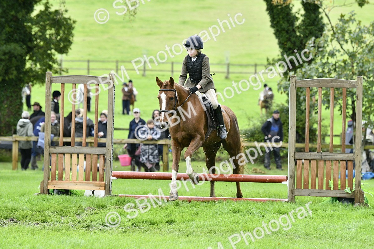 SBM_41467 - S32 - Mountain & Moorland Working Hunter Pony
