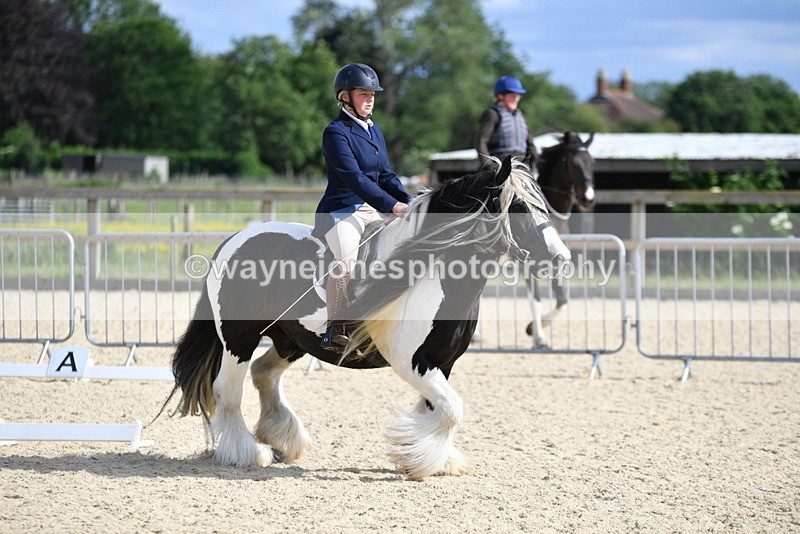 WJ5_7735 - Time 16:40 to 16:55