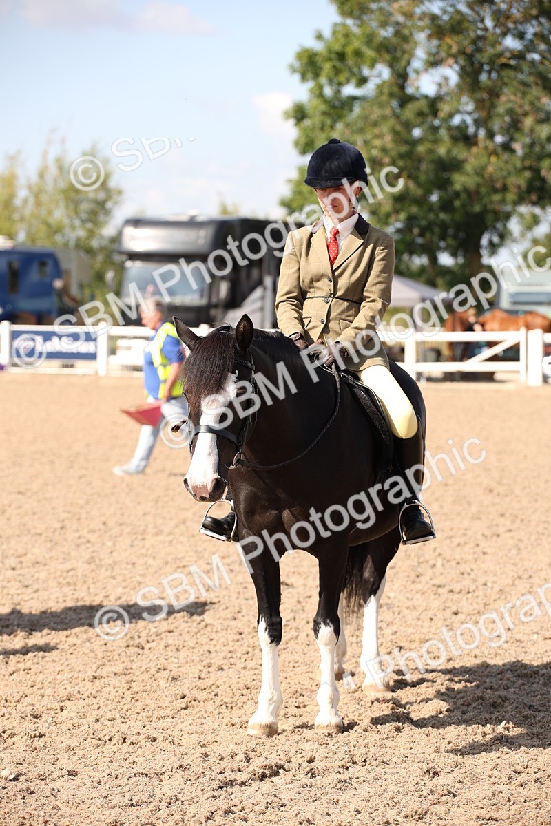 SBM_03064 - Class 17 Prettiest Mare IH or Ridden