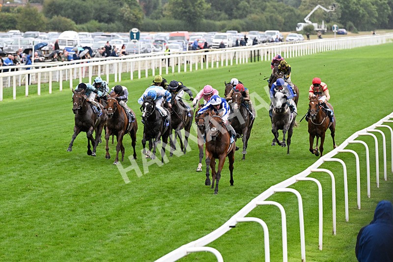 200826-Race 3-The Lost King-0416 - Race 3 15.00pm Sir Kevin Sinfield 7 In 7 Grand Finale Handicap