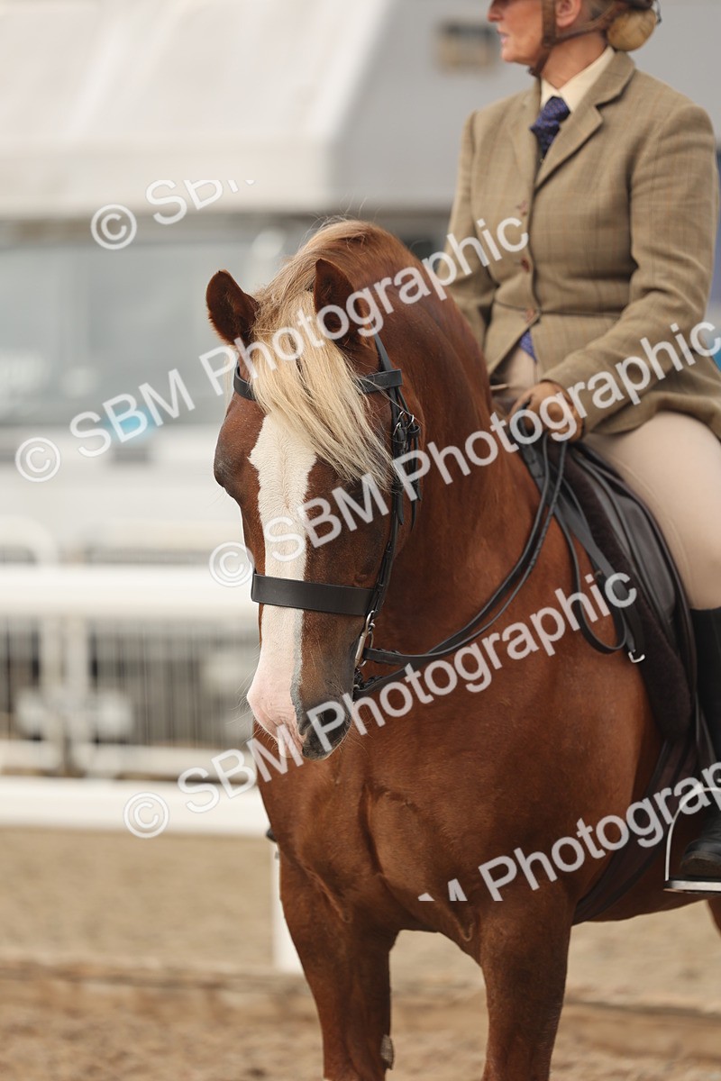 SBM_01952 - Class 14 - Ridden M&M Wildcard