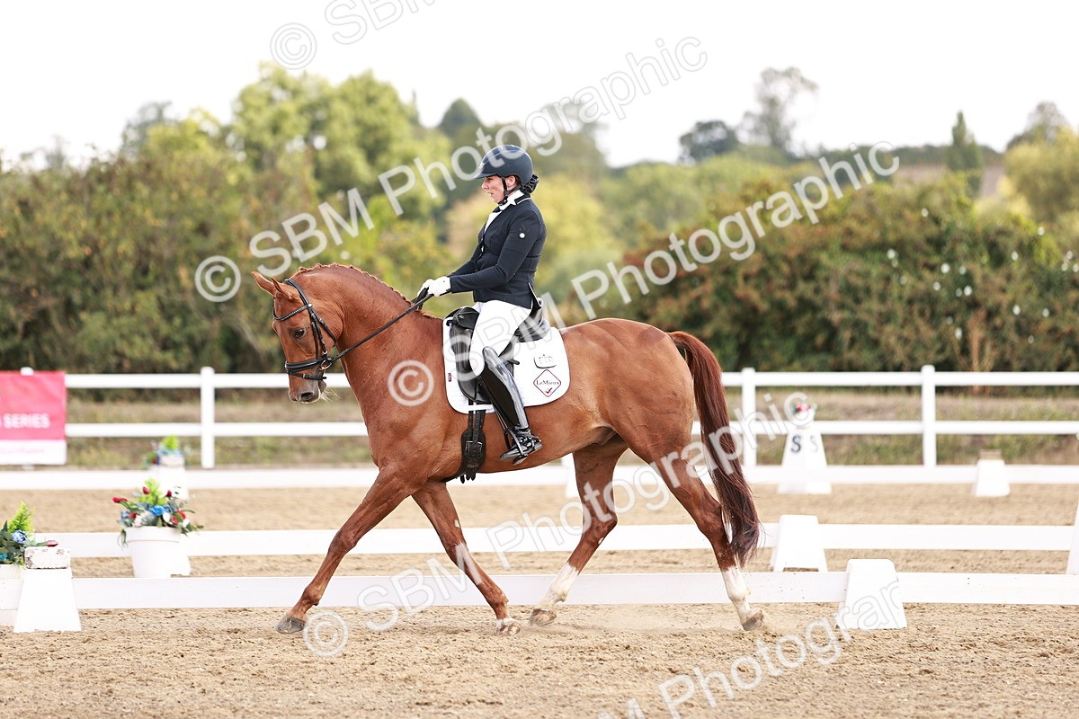 SBM_017674 - Class 11 - Advanced Medium 6