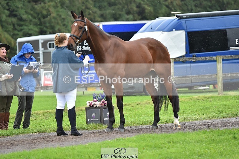 231018-124616-00503 - 062-CLASS.ROMANCE-Eleanor.Hope-TrotUp