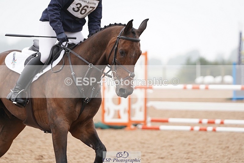 240901A-114202-06666 - 367-Selina.Milnes-MUSTAFA.MOLASSES