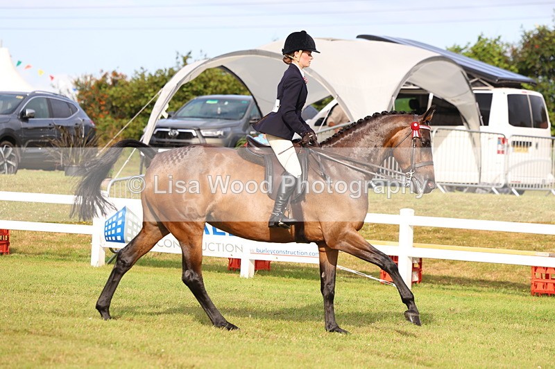3E7A8045 - Class 2: Rising Star Large Hack/Riding Horse