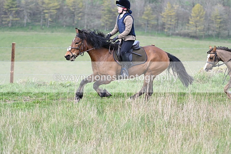 WJ7_8174 - Line 2 A camera