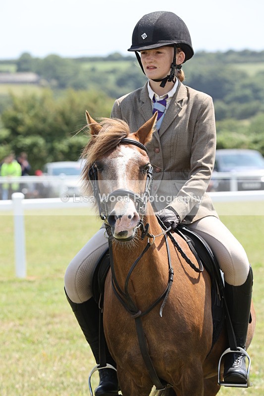 JPP_1857 - Class 18: Tiny Tots Working Hunter Pony