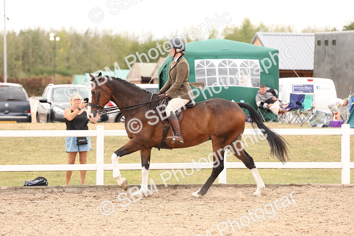 SBM_17245 - Class 213 - Ridden Hunter - Large