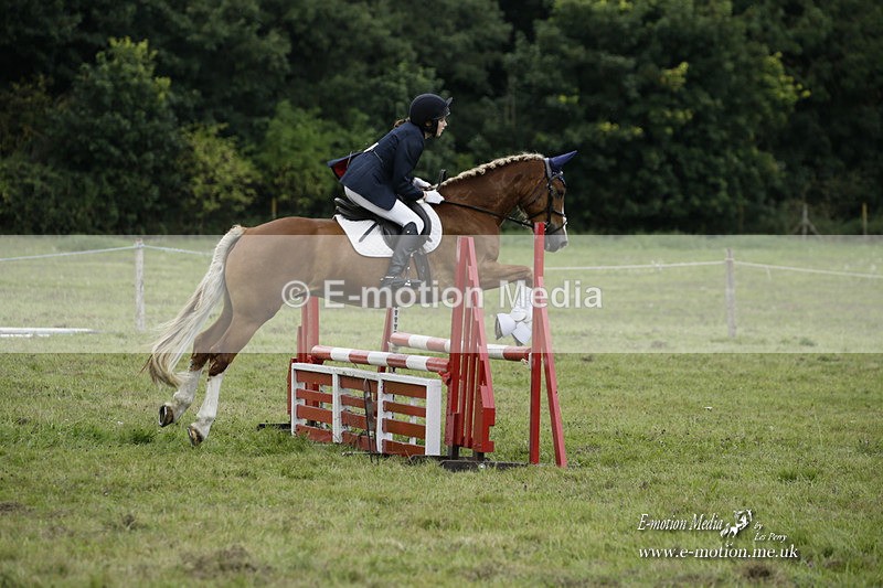 BVRC 120921 512 - Bourne Valley Riding Club UA Dressage & Show Jumping 12/09/21