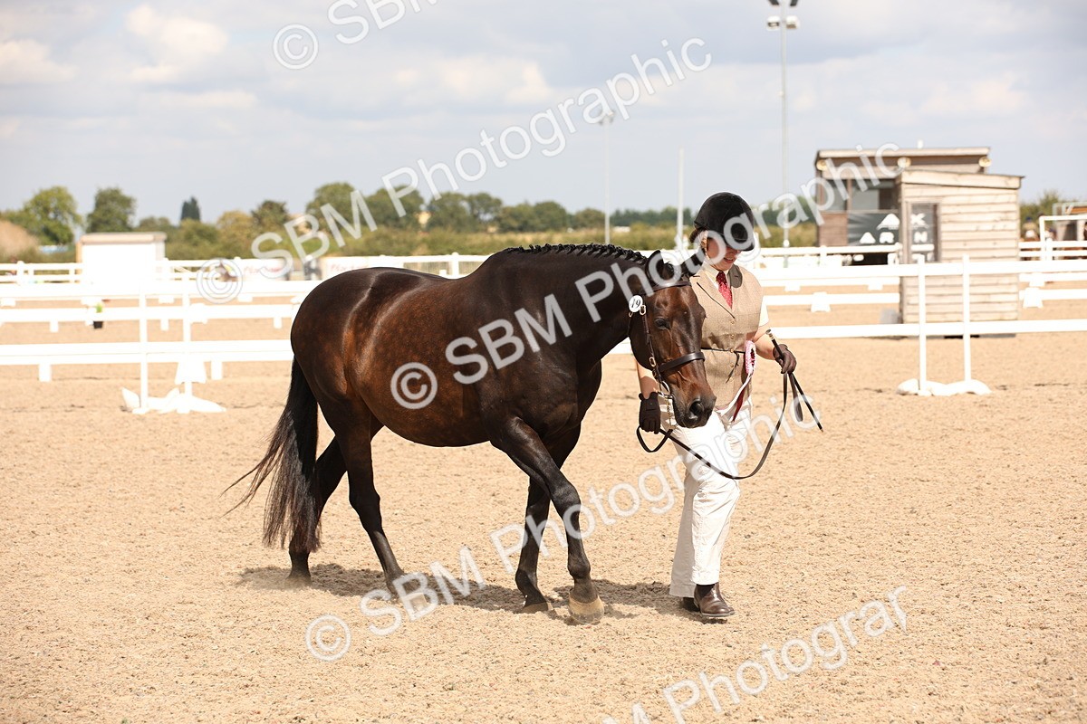 SBM_04672 - Class 20 IH Veteran