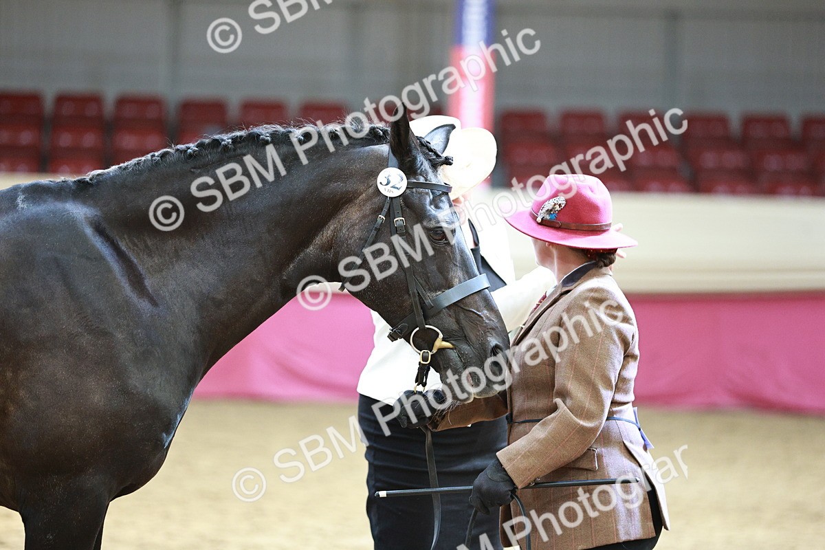 SBM_04806 - Class 7R - Regional IH Diamond