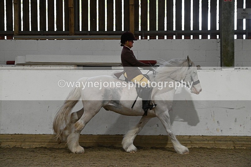 WJ7_4244 - Class 17 Ridden Cob