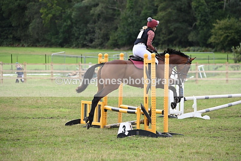 WJ6_1335 - 60cm Time 11:51 to 12:10