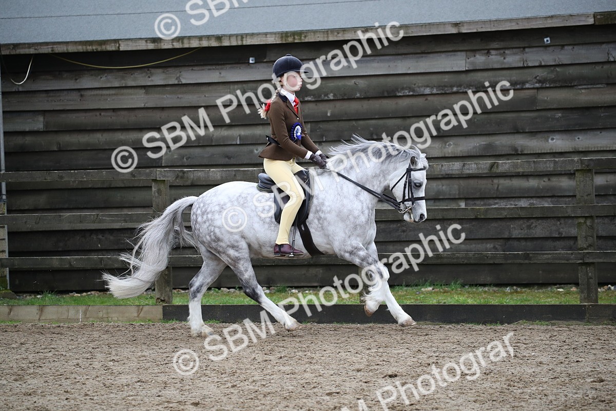 SBM_005994 - Class 10-13 - RIHS Small Large Breeds