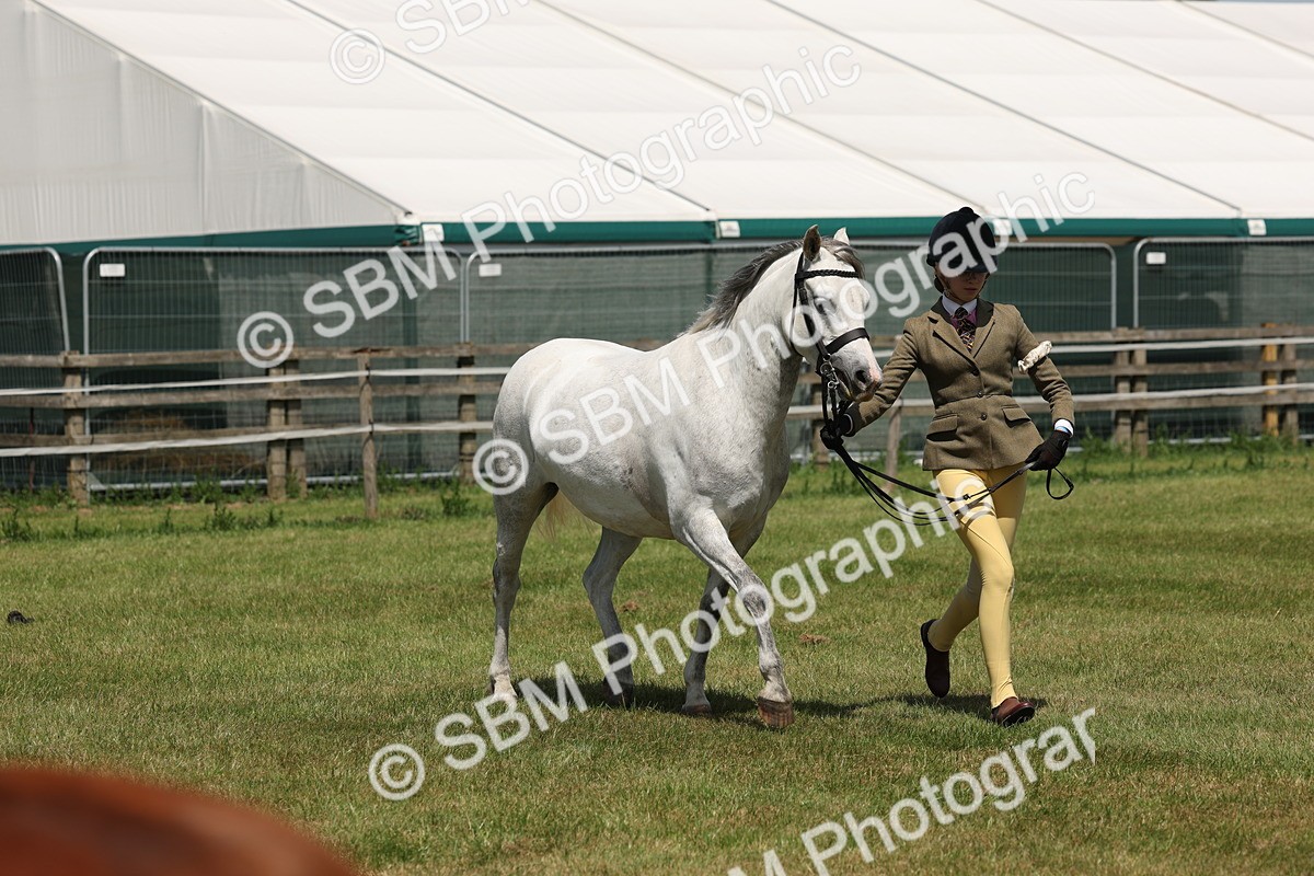 SBM_06768 - Class 26-30 - Mountain and Moorland Ridden