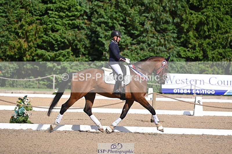 240809-163707-02452 - Novice Gold