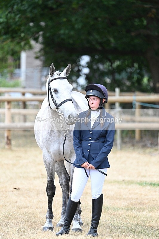 WJ7_1895 - Class 4a Prettiest Mare 14.2hh and over hand