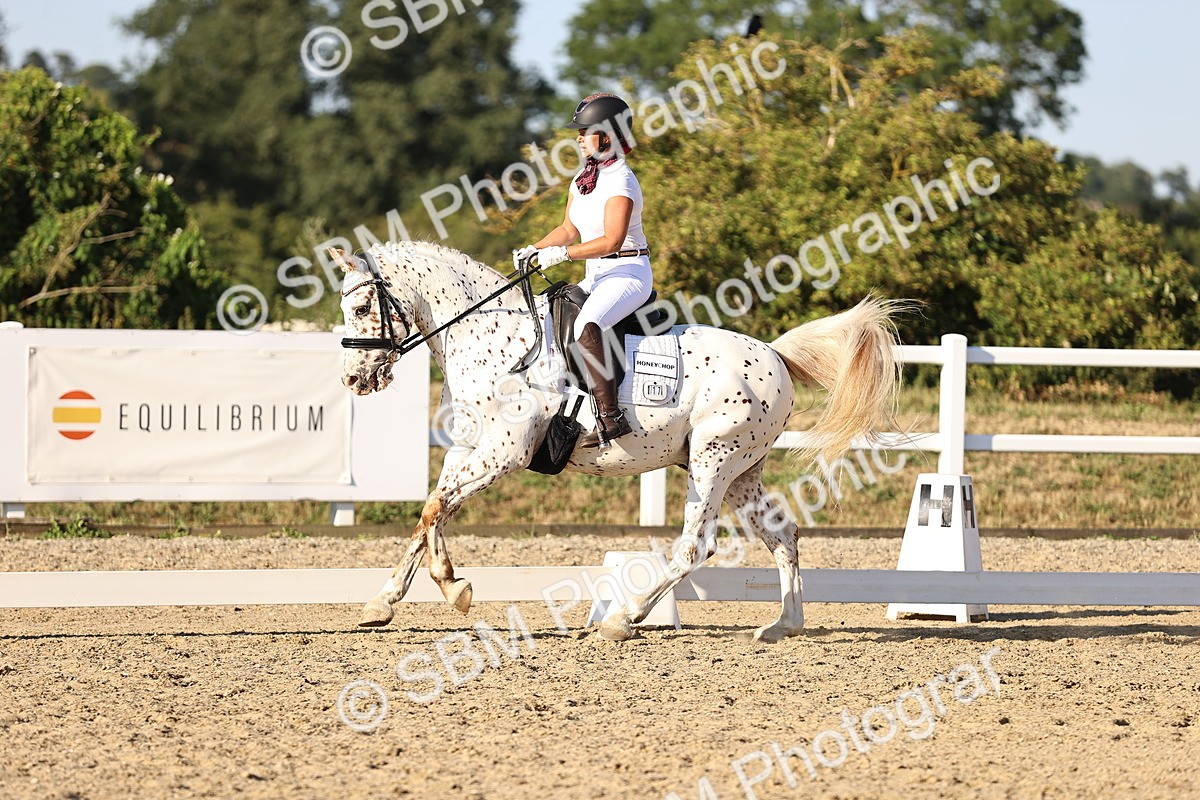 SBM_007814 - Elementary 4 - 17.07-18.22