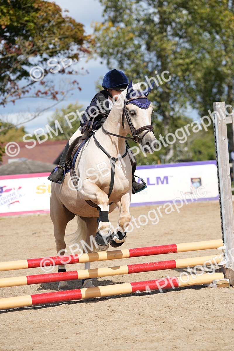 SBM_18136 - J58 - Clear Round 50cm