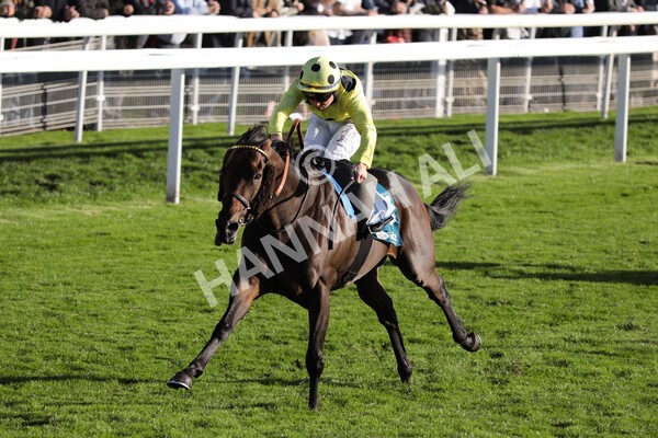 yr08102022r6-27 - Race 6 4.25pm The Watch Racing Online Free With Coral Handicap Stakes