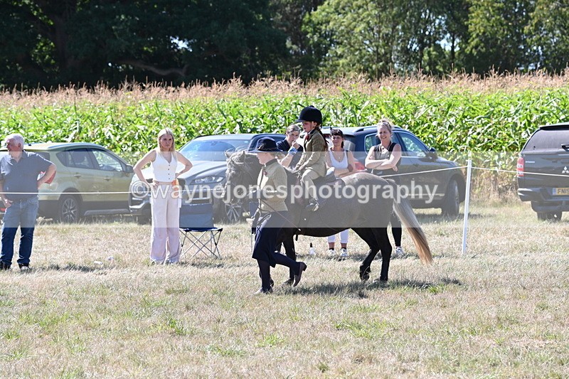 WJ6_7975 - Class 36 Lead Rein