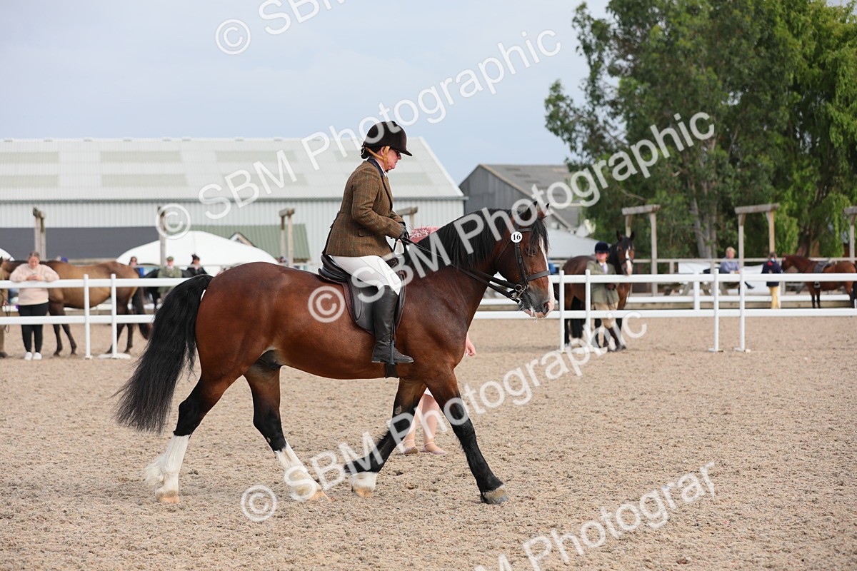 SBM_17750 - Class 315 Best Horse/Rider Combination