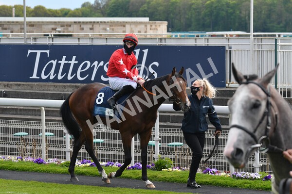 yr12052021r6-3 - Race 6 4.15pm British Stallion Studs EBF Novice Stakes