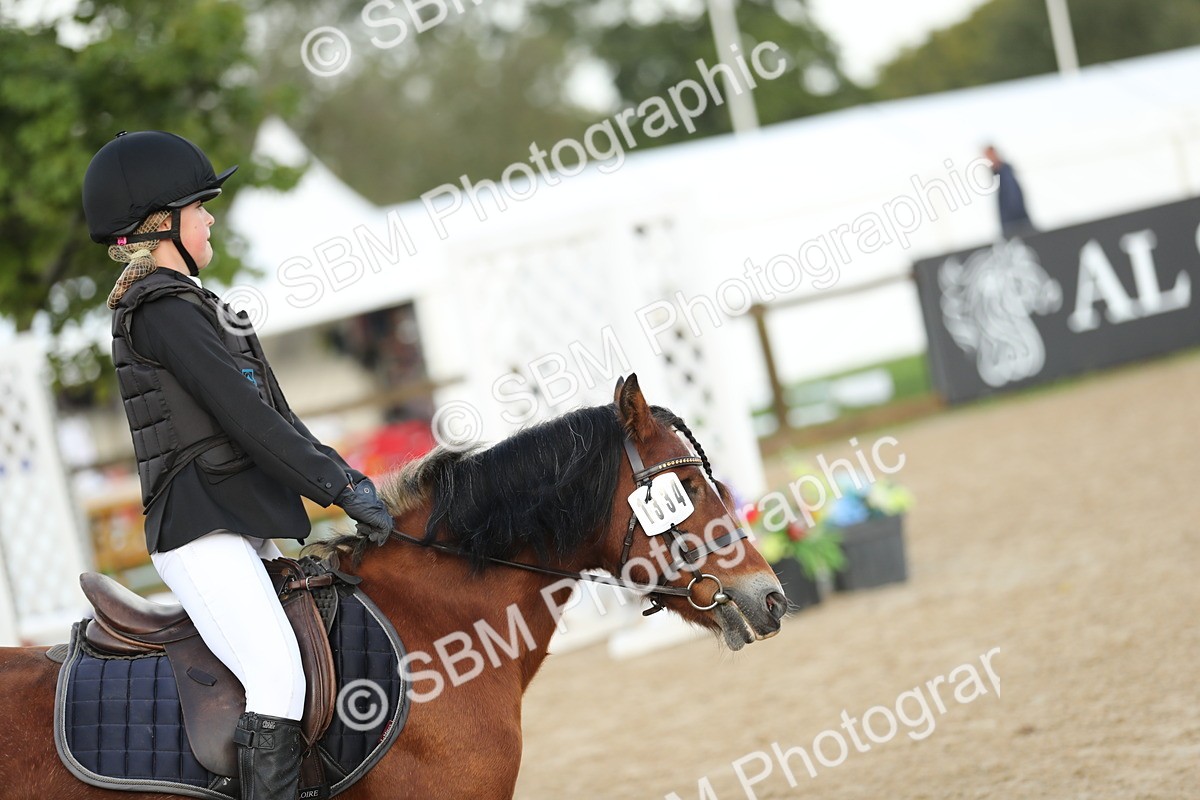 SBM_34149 - J60 Clear Round 50cm