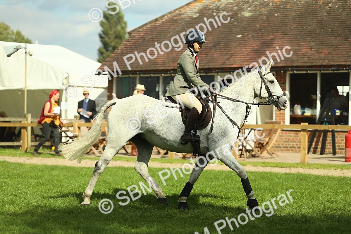 SBM_47906 - S32 - Novice & Newcomers Working Hunter