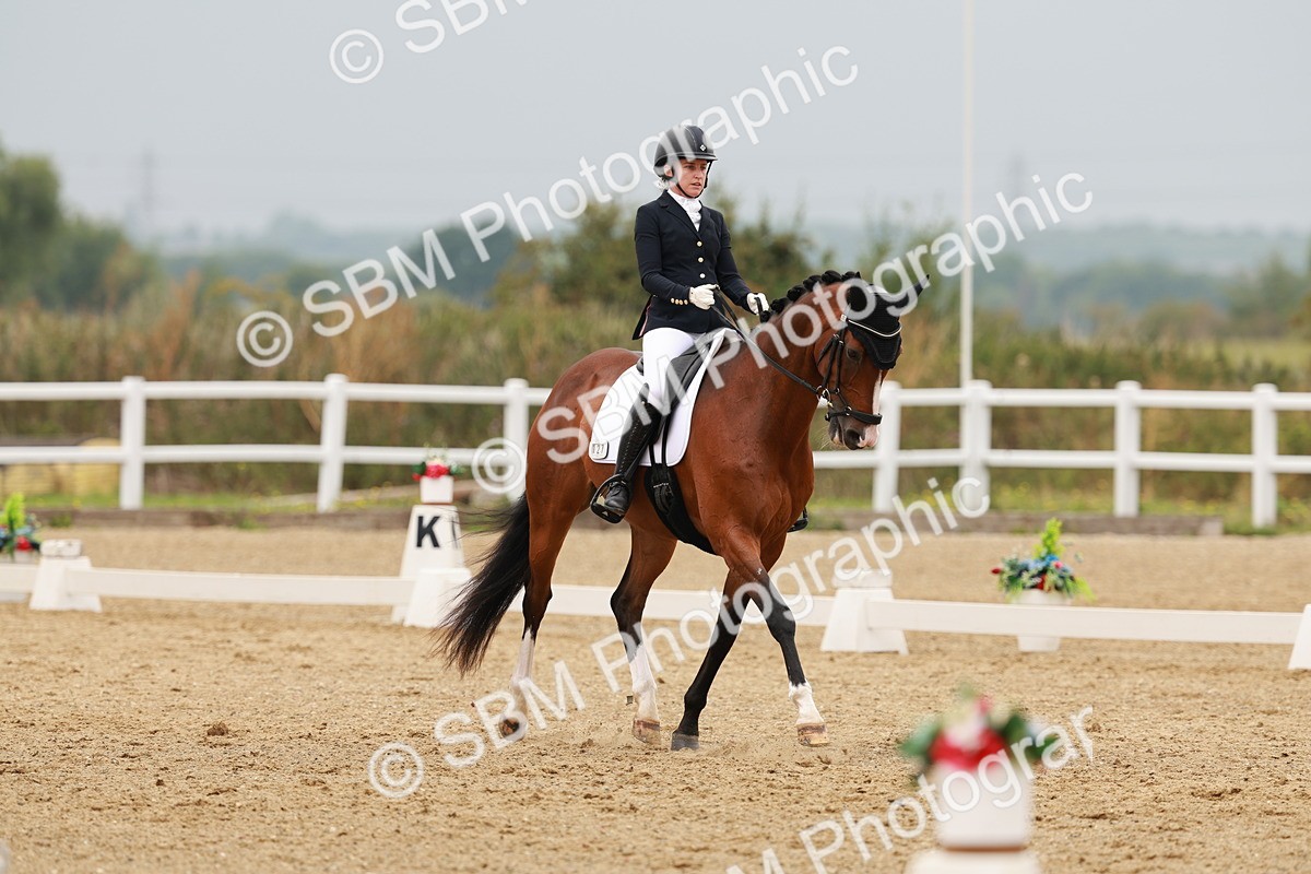 SBM_009183 - Class 12 - Elementary 6 - 10.50-11.50