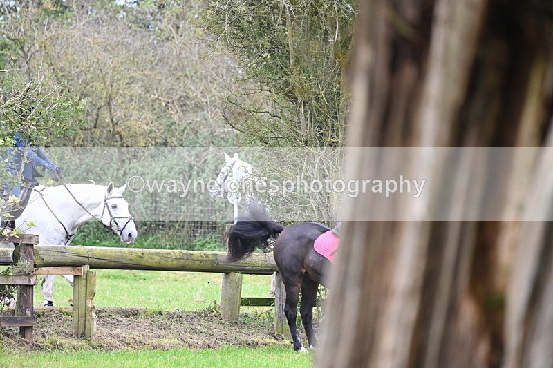 WJ6_8848 - Time at Photographer 14:16 to 14:45