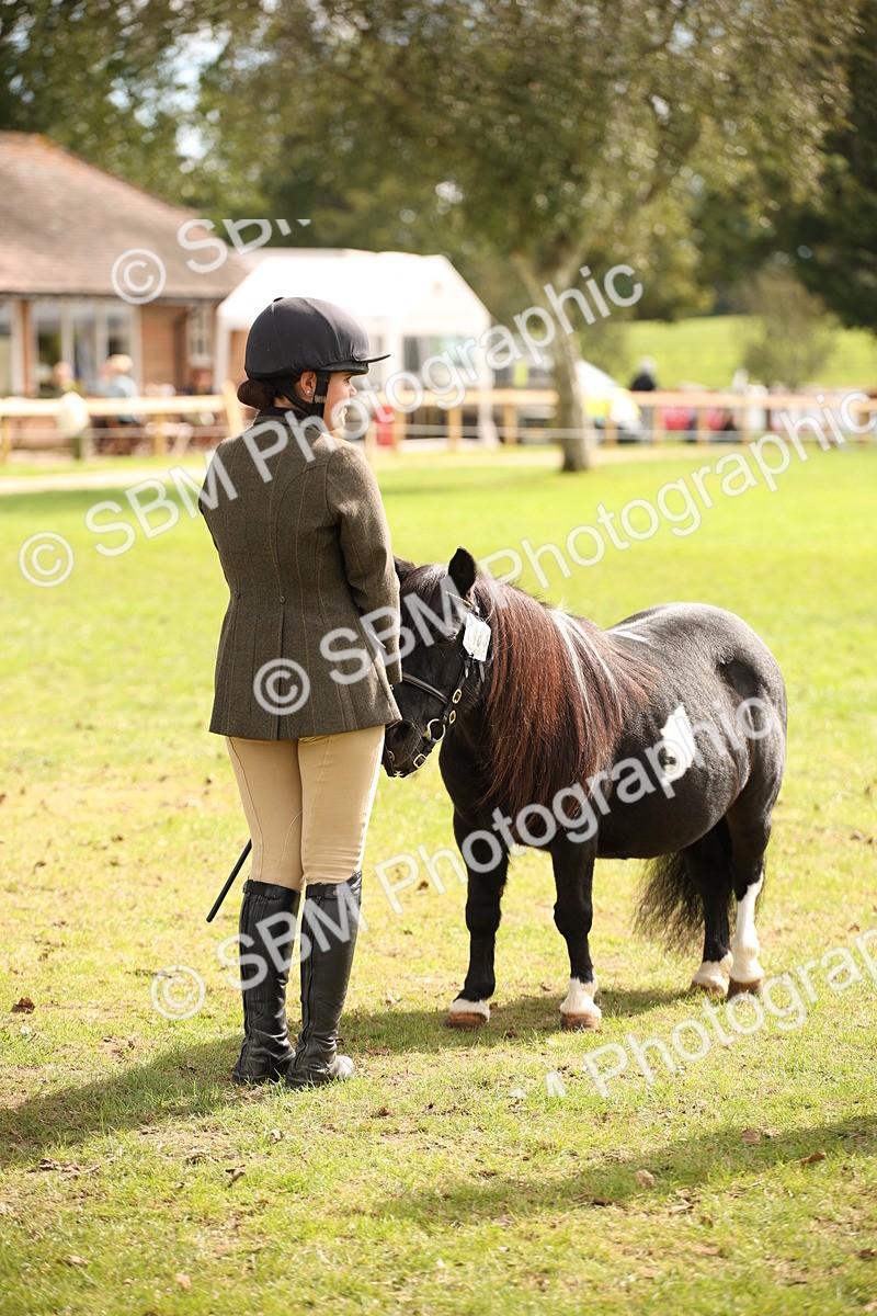 SBM_46375 - S25 - Mature Veteran In Hand