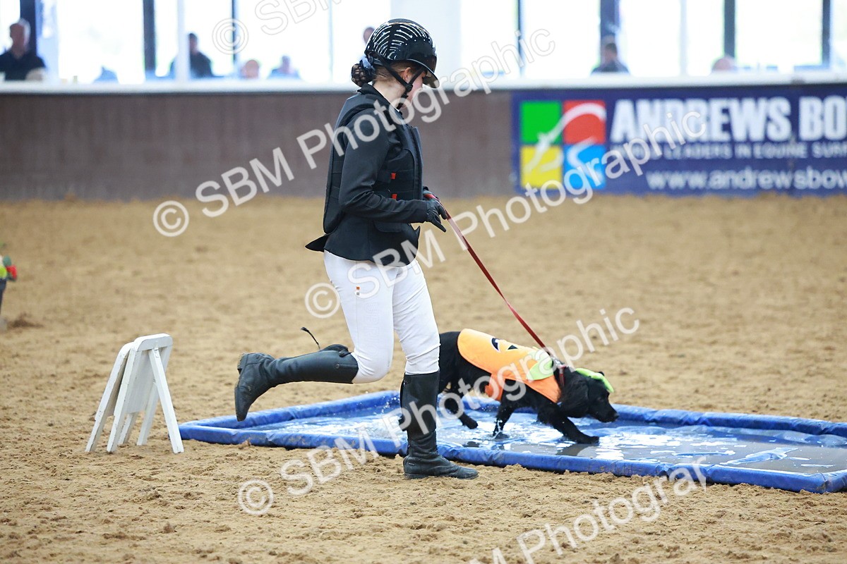 SBM_001697 - Class 3 - Horse & Hound (60cm)