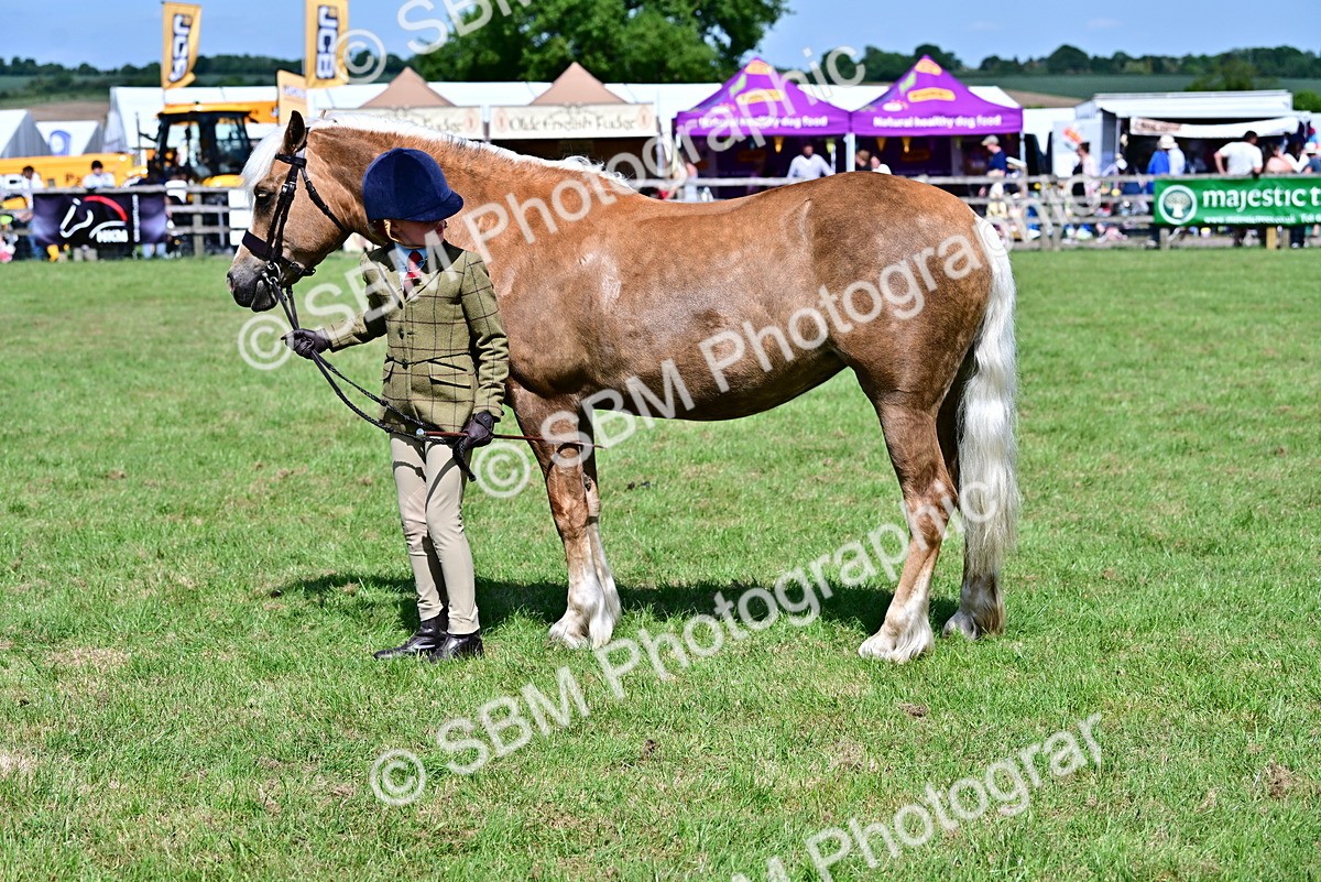 SBM_08078 - Class 61-62 - TSR  M&M Ridden Amateur of the Year