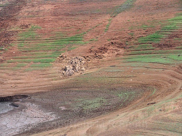 Reservoir Drought - LANDSCAPES & TREES
