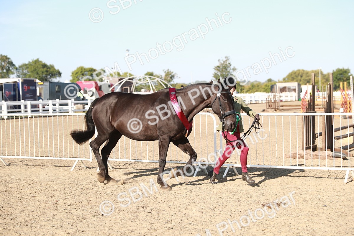 SBM_00173 - Class 40 Best Turned Out IH