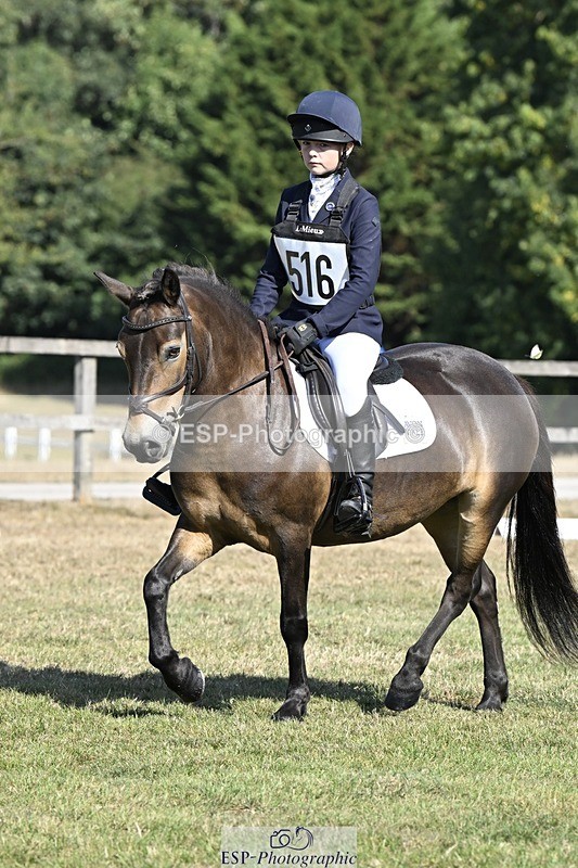 250822A-101253-20172 - DR 10.00 to 11.00