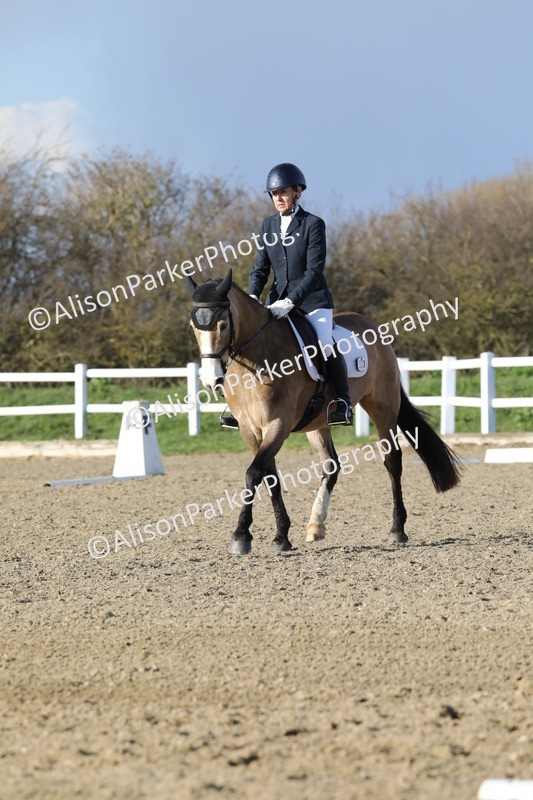 20260314-5862 - DR8 - Elementary 2