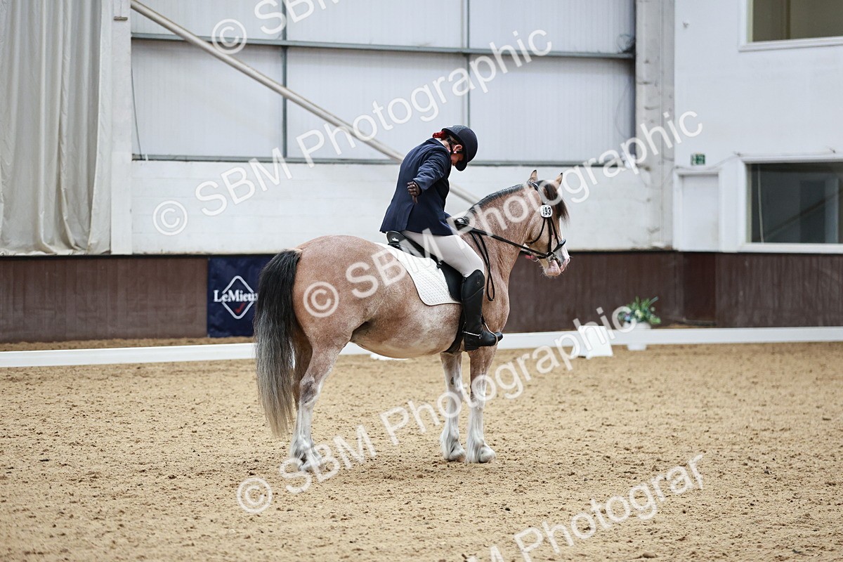 SBM_014240 - Class 7 - Ele FSM Bronze 12.12.13.08