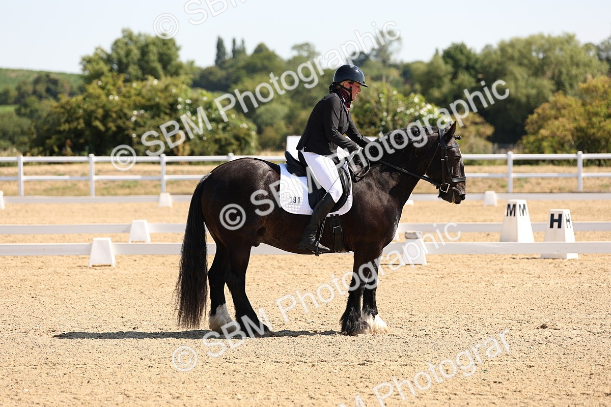 SBM_001059 - Intro 2