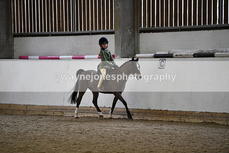 WJ5_6492 - Class 10 Childs Pony