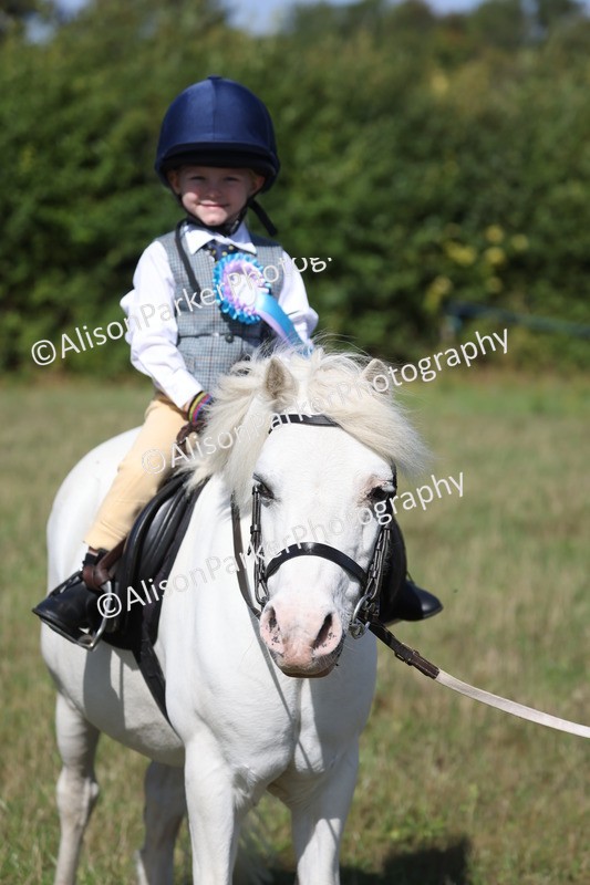 20260906-2342 - Class 16 - Family Pony