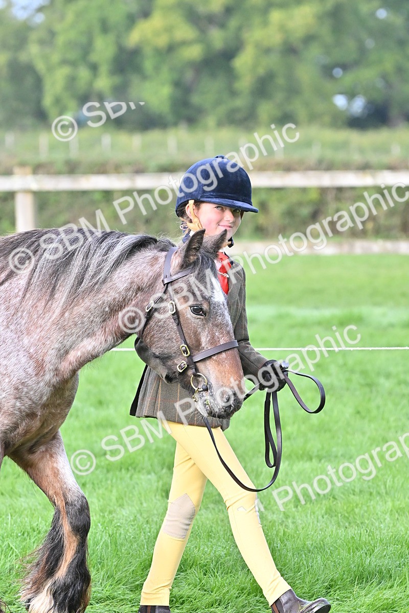 SBM_56839 - S45 - Coloured Pony In Hand