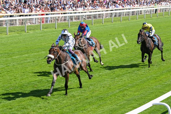 120725-Race 4-Al Qareem-5787 - Race 4 3.45pm John Smith's Silver Cup Stakes