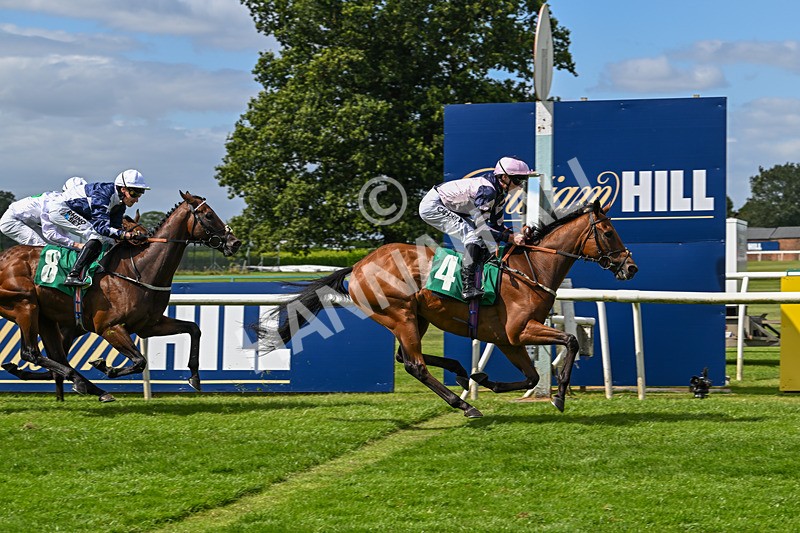 030824-Race 2-Barefoot Warrior-1533 - Race 2